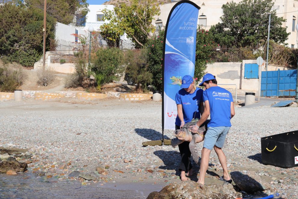 TUI Care Foundation & ΑΡΧΕΛΩΝ: Απελευθέρωση θαλάσσιας  χελώνας με πομπό στην Ελλάδα