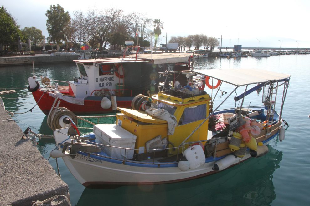 Από σήμερα η υποβολή αιτήσεων για την αποζημίωση αλιευτικών σκαφών με ζημιές από θαλάσσια είδη