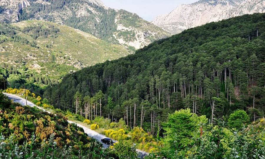 Απόρριψη χρηματοδότησης για δρόμο «Μπάκα Λαιμός- Αγ. Παντελεήμονας- Κρύα Βρύση»