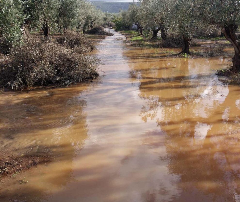 Ερώτηση Μανώλη Μάκαρη για τις καταστροφές  από πλημμύρες στην Τριφυλία